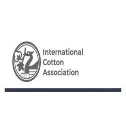Complete Cotton - 2024